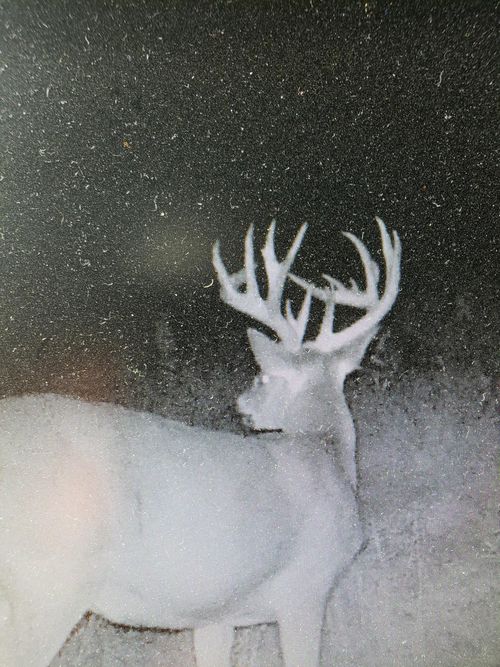 TBD 208th Ave, Erhard, MN, 56534 | Card Image