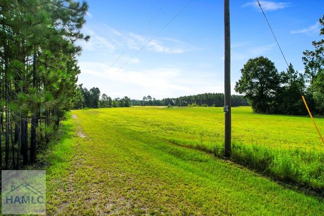 299 Collins Loop, Home with 0 bedrooms, 0 bathrooms and null parking in Odum GA | Image 14
