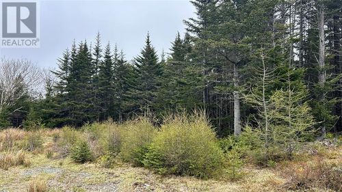 0 Strayaway Road, Blaketown, NL, A0B1C0 | Card Image