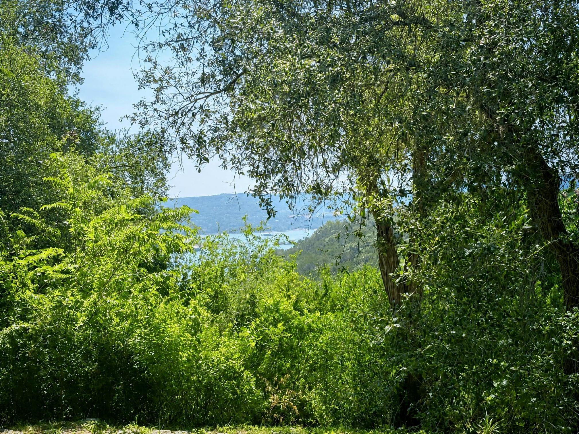 Land in Jonestown 3