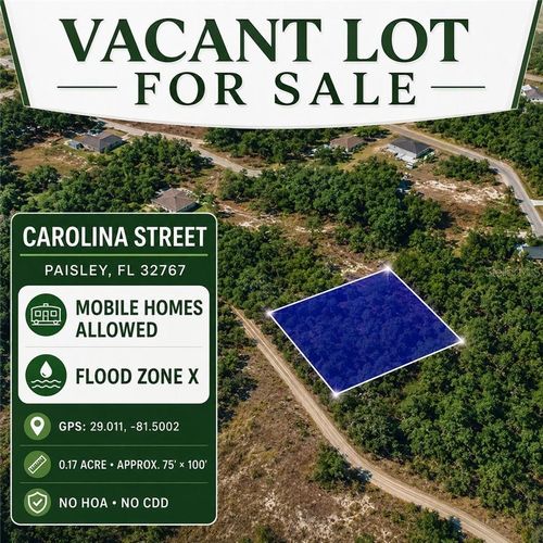 0 Carolina St, Paisley, FL, 32767 | Card Image