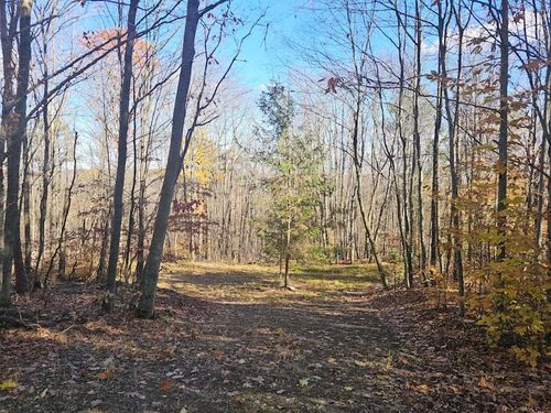 0 Thunder Mountain E, Springwater, NY, 14560 | Card Image