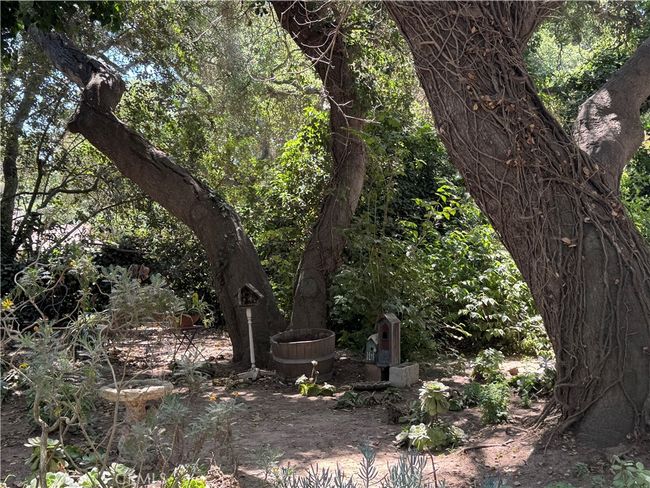1551 Pomeroy Rd, House other with 5 bedrooms, 3 bathrooms and 4 parking in Arroyo Grande CA | Image 34