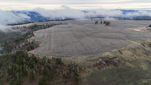 2439 Albers Rd, Nezperce, ID, 83543-5035 | Card Image