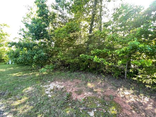 Lot 20 Big Cove Dr, Hiawassee, GA, 30546 | Card Image