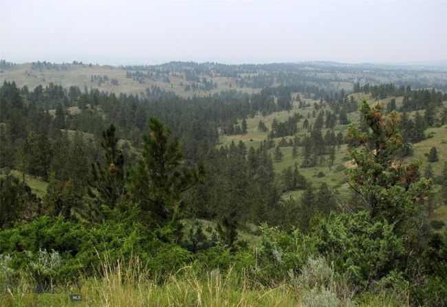 SC-25 - TBD Lone Rock Canyon Lane, Home with 0 bedrooms, 0 bathrooms and null parking in Hysham MT | Image 4