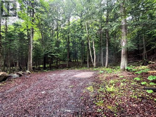 TBD County 21 Road, Minden Hills (Minden), ON, K0M2K0 | Card Image