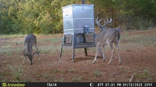 16092 County Road 440, Lindale, TX, 75771-5945 | Card Image