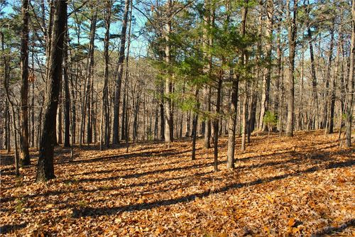 3 Railroad Cut Road, Rogers, AR, 72756 | Card Image