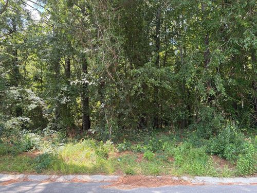 310 E Poplar Branch Drive, Moncks Corner, SC, 29461 | Card Image