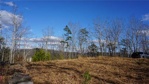 0 Muscadine Ln, CHATSWORTH, GA, 30705 | Card Image