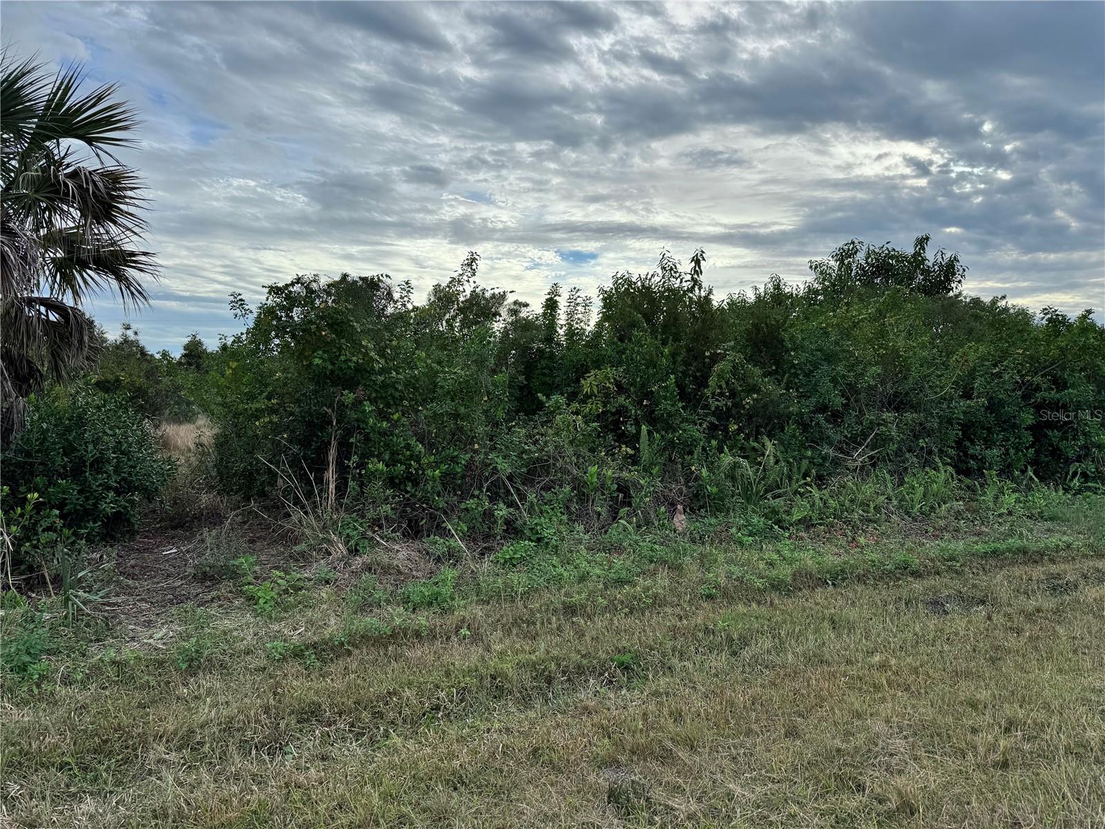 Land in PORT CHARLOTTE 5