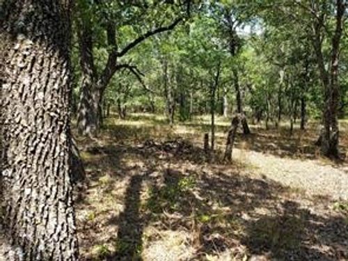 107 Mustang Springs Cir, Sunset, TX, 76270-2175 | Card Image