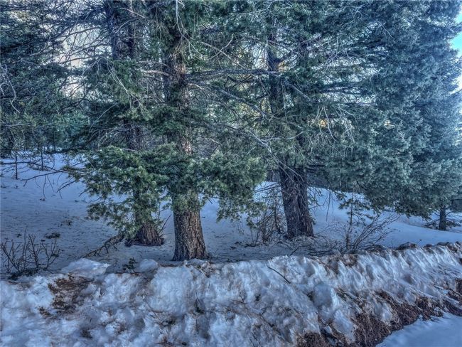 1174 Monarch Dr, Home with 0 bedrooms, 0 bathrooms and null parking in Cripple Creek CO | Image 4