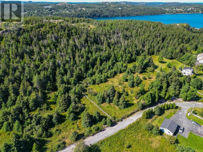 20 Kennedys Lane, Home with 0 bedrooms, 0 bathrooms and null parking in Holyrood NL | Image 4