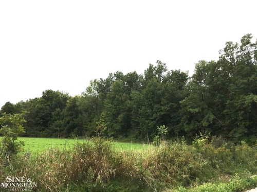 V/L Adair Road, Casco Township, MI, 48064 | Card Image
