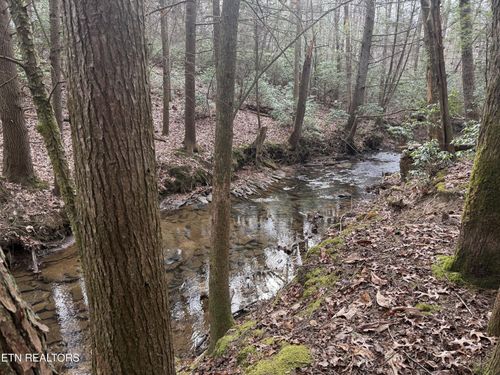 0 Street Place Loop, Monterey, TN, 38574 | Card Image