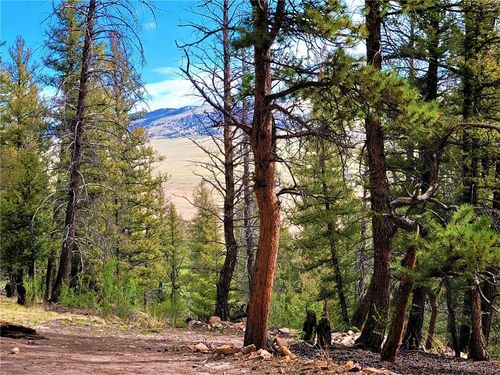 198 Middle Fork Vis, FAIRPLAY, CO, 80440 | Card Image