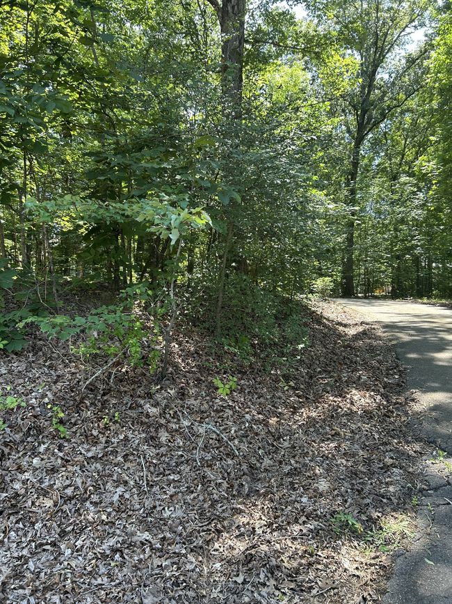 825 Highway 96 N, House other with 3 bedrooms, 2 bathrooms and 3 parking in Fairview TN | Image 6