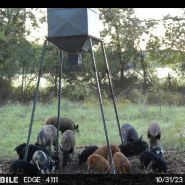Wild Hogs | Image 33