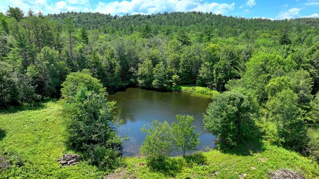 3264 Trebo Rd, House other with 3 bedrooms, 1 bathrooms and null parking in Chester VT | Image 11