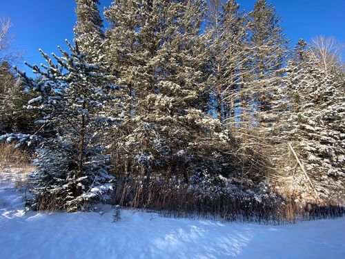 14451 S Old Hwy 53, Gordon, WI, 54838-6303 | Card Image