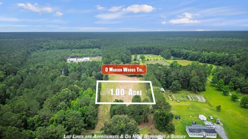 0 Marion Woods Trl, Bonneau, SC, 29431 | Card Image