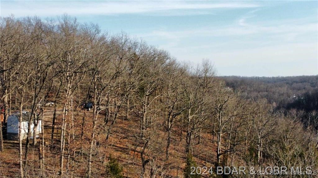 Land in Camdenton 3
