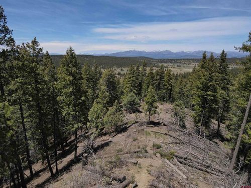 438 Loma Vista Ct, Pagosa Springs, CO, 81147-7928 | Card Image