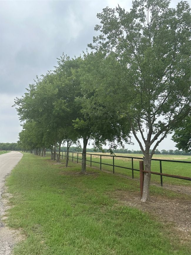 4611 Stout Rd, Home with 0 bedrooms, 0 bathrooms and null parking in Midlothian TX | Image 11