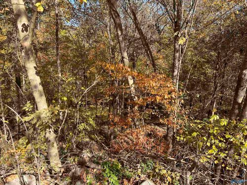 4611 Legacy Preserve Way Se, Brownsboro, AL, 35741-8906 | Card Image