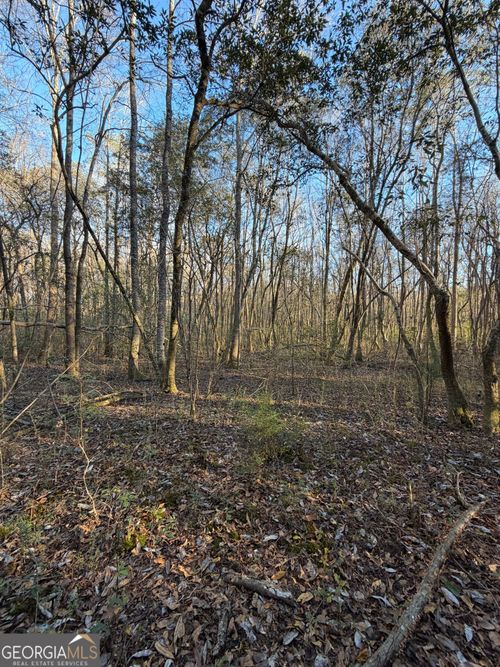 13990 Ga Highway 27, Lumpkin, GA, 31815-4416 | Card Image