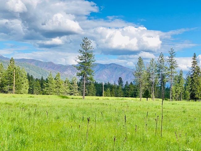 20 Cabinet View Ln, Home with 0 bedrooms, 0 bathrooms and null parking in Trout Creek MT | Image 10