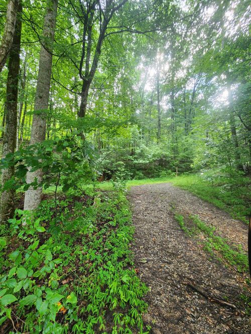 0 S Pittsburg Mountain Rd, South Pittsburg, TN, 37380 | Card Image