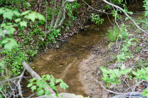 0 Creek Side Lane, Spencer, TN, 38585 | Card Image