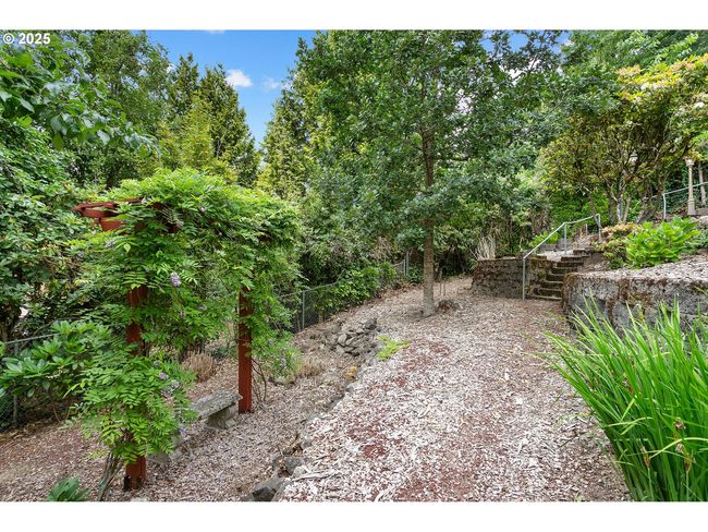 Backyard | Image 43