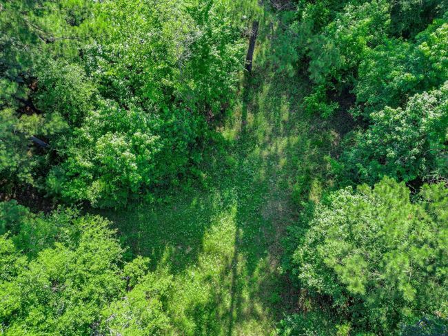 417 Walters Ln, Home with 0 bedrooms, 0 bathrooms and null parking in Jefferson TX | Image 6