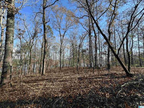 11-11 Billingsley Dr, SYLACAUGA, AL, 35151 | Card Image