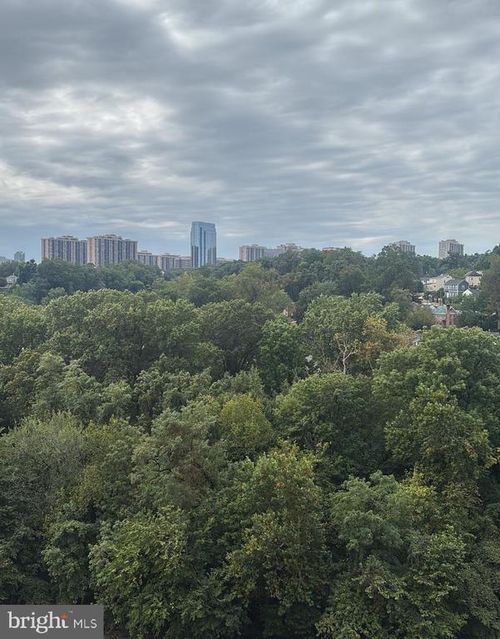 apt-920-4600 S Four Mile Run Dr, ARLINGTON, VA, 22204-3516 | Card Image
