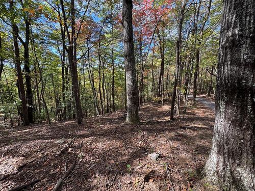 0 Peach Lane, Cherry Log, GA, 30522 | Card Image