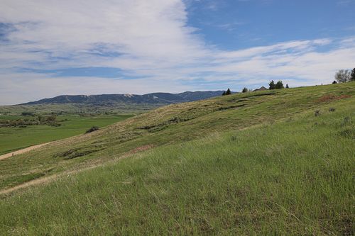 Tract 4 Mallard Road, Sheridan, WY, 82801 | Card Image