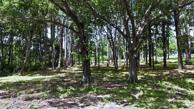 Lot 340 Grand View Dr, Home with 0 bedrooms, 0 bathrooms and null parking in Athens TX | Image 6