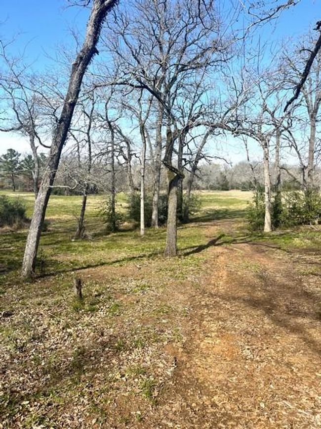 9870 N Leona Blvd, Home with 3 bedrooms, 2 bathrooms and null parking in Leona TX | Image 11