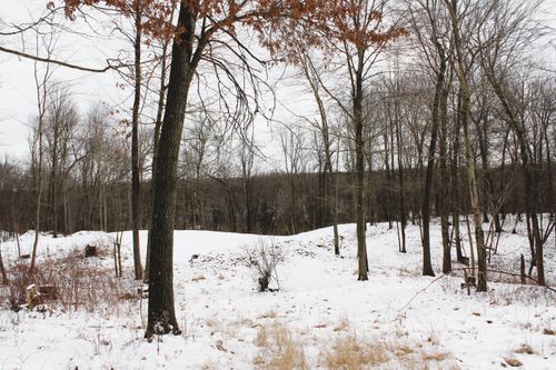  Sugar Creek Lot 36, Middleville, MI, 49333 | Card Image