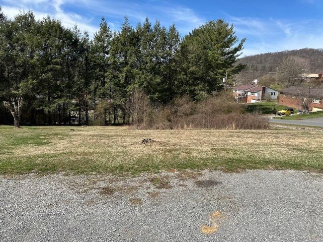 000 Martin St., Home with 0 bedrooms, 0 bathrooms and null parking in Pounding Mill VA | Image 4
