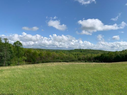 111 Briar Ridge Ln, Ellamore, WV, 26267 | Card Image