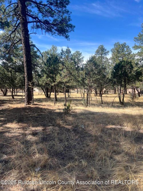 1-Lot 7 Mira Monte Rd, Alto, NM, 88312 | Card Image