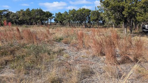 15765 Hamilton Pool Rd, Austin, TX, 78738-7505 | Card Image