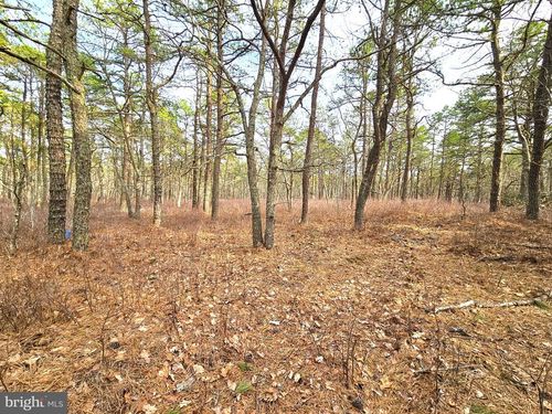 0 Birchwood Dr, Tuckerton, NJ, 08087 | Card Image