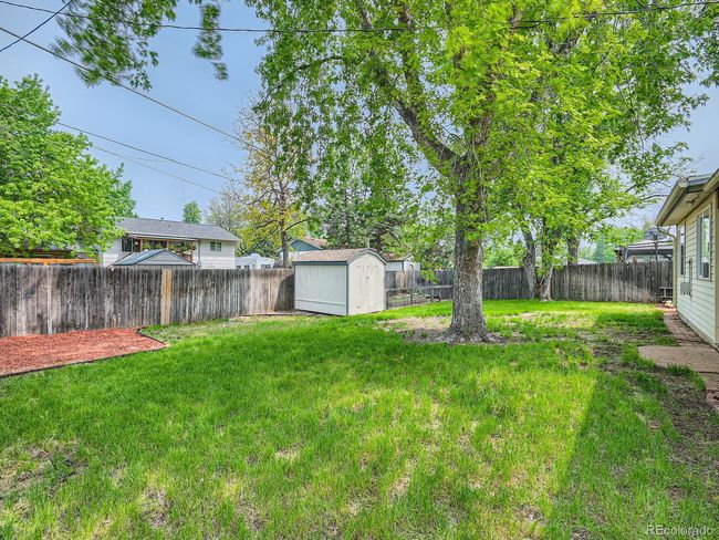 56 Back Yard.jpg | Image 31